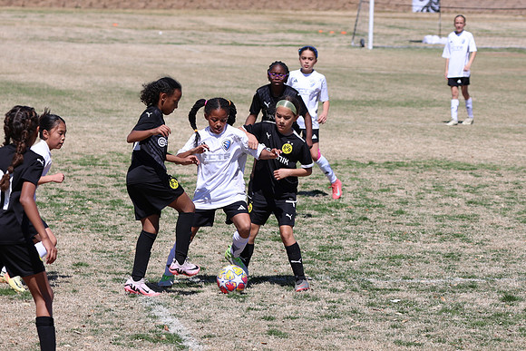 20250316TigerCupG4-4606