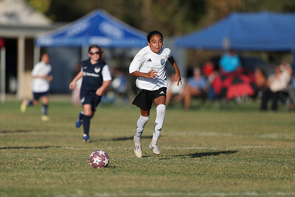 20241027StingG14G8Win-6246