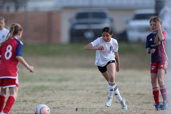 20250315StingAustingG14TigerCupG2-20533