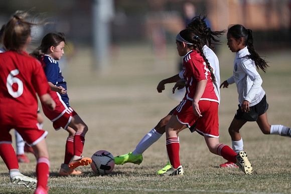 20250315StingAustingG14TigerCupG2-20332