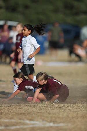 20241012StingG14Game6Win-4111