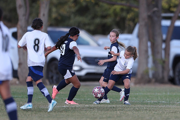 20241027StingG14G8Win-5719