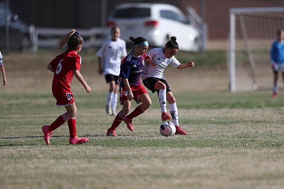 20250315StingAustingG14TigerCupG2-20239
