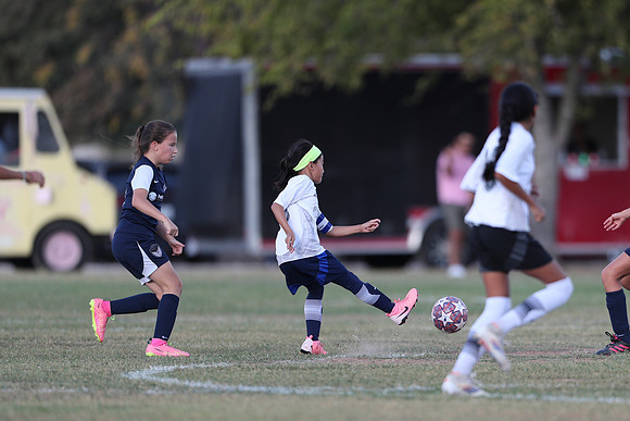20241027StingG14G8Win-5505