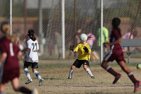 20241012StingG14Game6Win-3985