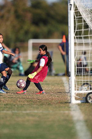 20241027StingG14G8Win-6419