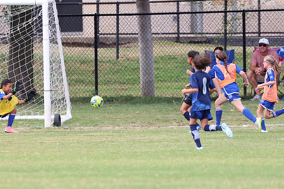 20240914StingG14G2-7072