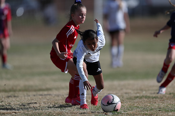 20250315StingAustingG14TigerCupG2-20309