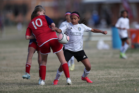 20250315StingAustingG14TigerCupG2-20566