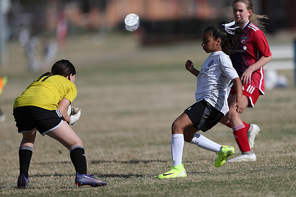 20250315StingAustingG14TigerCupG2-20131