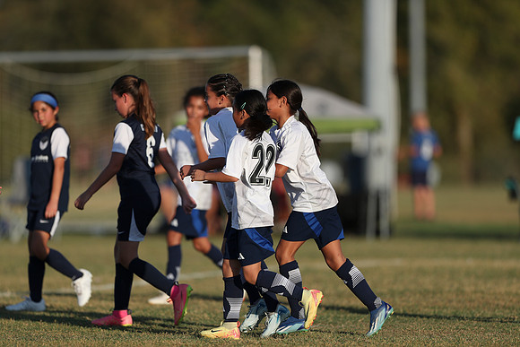 20241027StingG14G8Win-6613