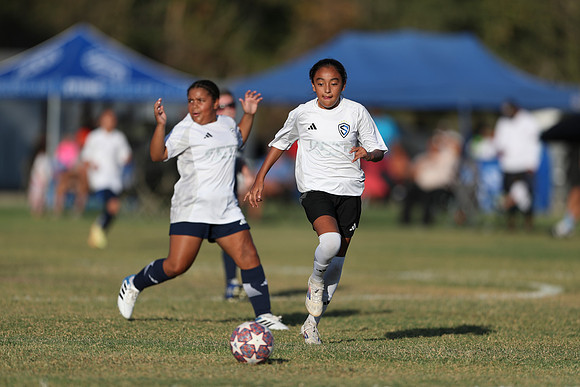 20241027StingG14G8Win-6254