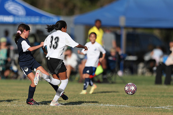 20241027StingG14G8Win-5544