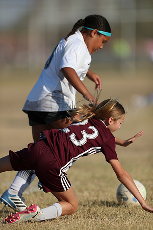20241012StingG14Game6Win-4117