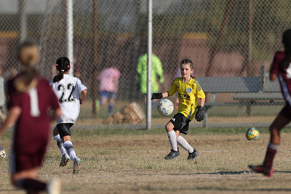 20241012StingG14Game6Win-3981