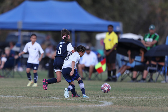 20241027StingG14G8Win-5444