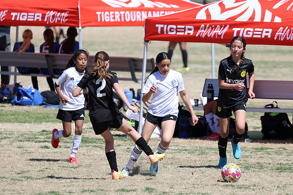 20250316TigerCupG4-4585