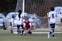 20241027StingG14G8Win-5429