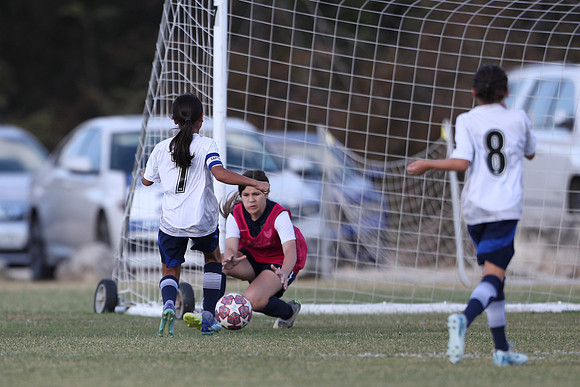 20241027StingG14G8Win-5429