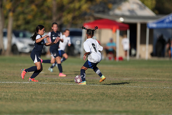 20241027StingG14G8Win-5861