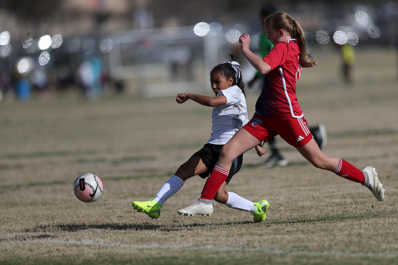 20250315StingAustingG14TigerCupG2-20035