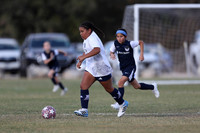 20241027StingG14G8Win-5407