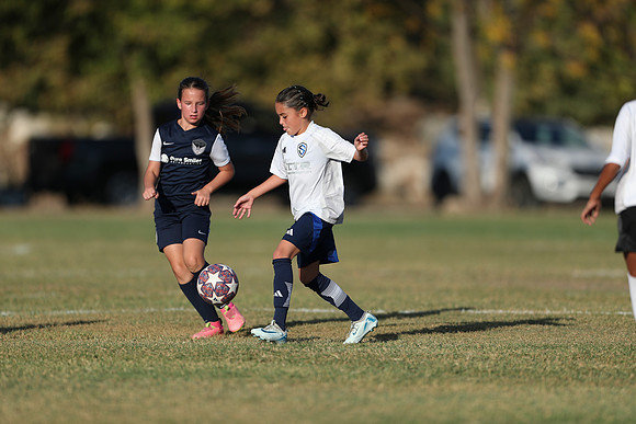 20241027StingG14G8Win-6265