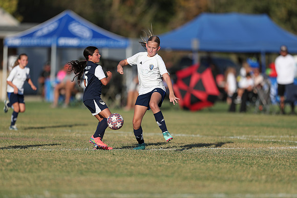 20241027StingG14G8Win-6350