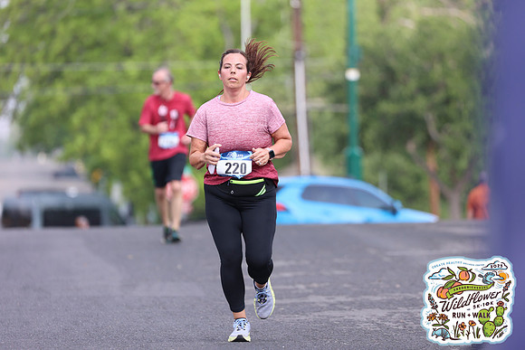 20250426HCMWildflower-2014