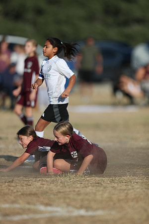20241012StingG14Game6Win-4110
