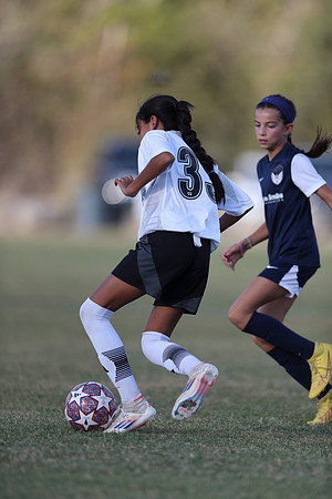 20241027StingG14G8Win-5615