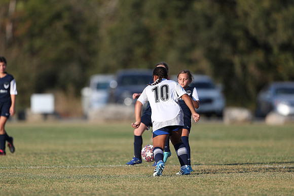 20241027StingG14G8Win-6394