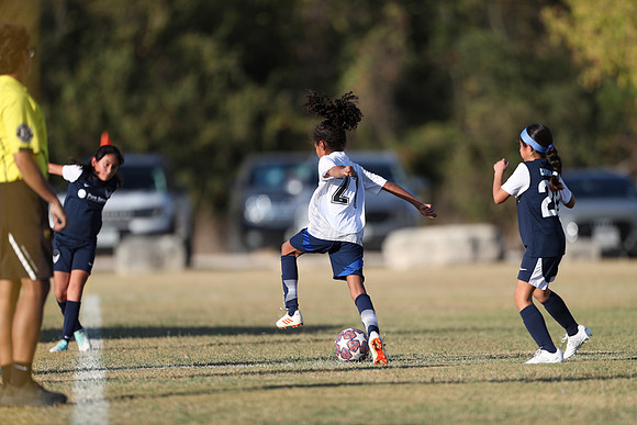 20241027StingG14G8Win-5569
