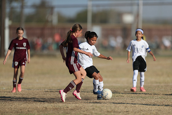 20241012StingG14Game6Win-4413