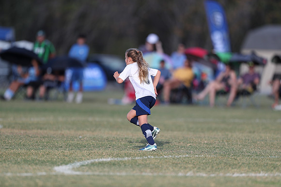 20241027StingG14G8Win-5654
