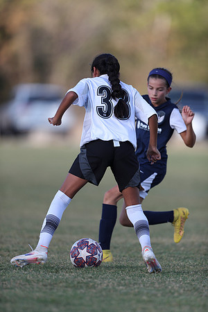 20241027StingG14G8Win-5618