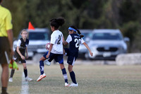 20241027StingG14G8Win-5438