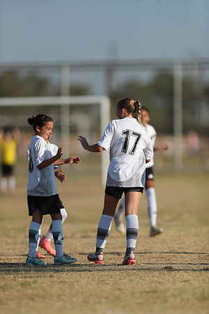 20241012StingG14Game6Win-4384