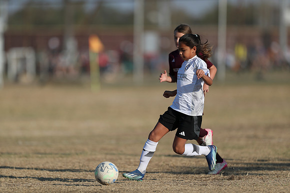 20241012StingG14Game6Win-3933