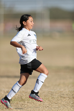 20241012StingG14Game6Win-4776
