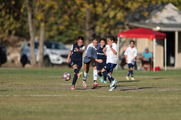 20241027StingG14G8Win-6241