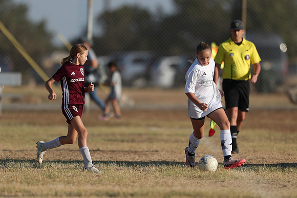 20241012StingG14Game6Win-3917