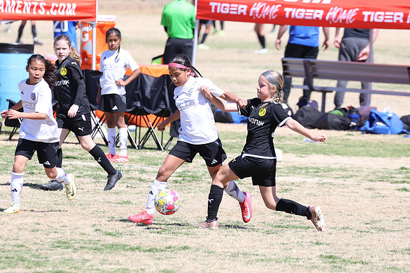 20250316TigerCupG4-4525