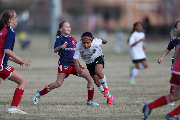 20250315StingAustingG14TigerCupG2-20489