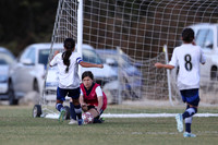 20241027StingG14G8Win-5430