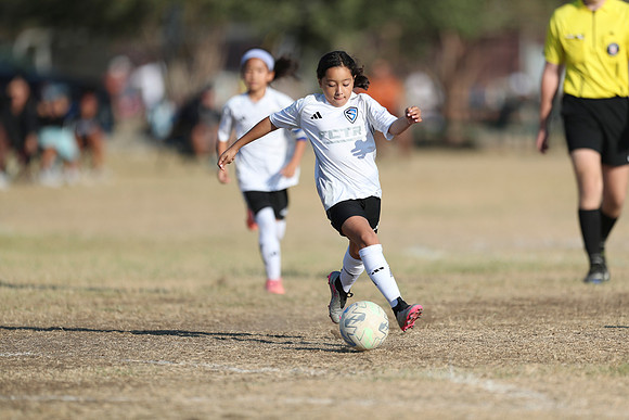 20241012StingG14Game6Win-4823