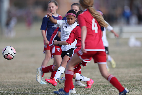 20250315StingAustingG14TigerCupG2-20576