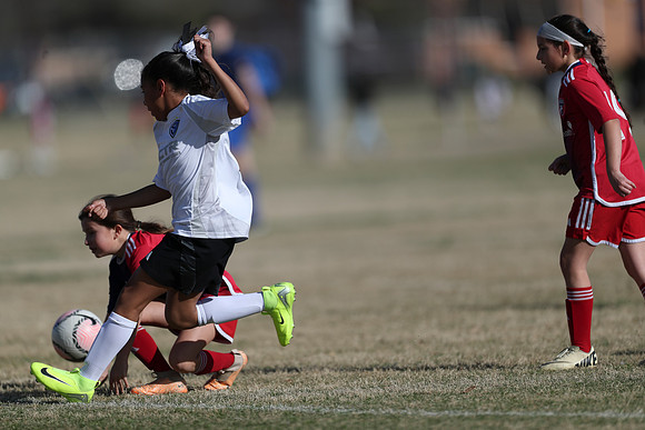 20250315StingAustingG14TigerCupG2-20339