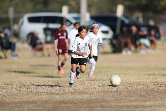 20241012StingG14Game6Win-4812