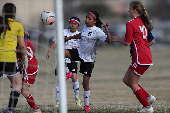 20250315StingAustingG14TigerCupG2-20582
